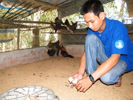 Chuyện chàng Đoàn viên say mê... gà rừng  - 2