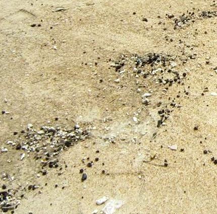 Có thể tàu lạ thả dầu bẩn khi đi ngang biển Thừa Thiên - Huế - 1 Có thể tàu lạ thả dầu bẩn khi đi ngang biển Thừa Thiên - Huế - 1