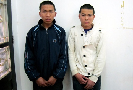 Bắt quả tang 2 đối tượng đốn hạ 7 cây sưa đỏ - 1 Bắt quả tang 2 đối tượng đốn hạ 7 cây sưa đỏ - 1