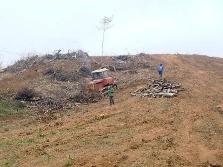 Sức sống trên “Làng thanh niên Sông Chàng” - 2