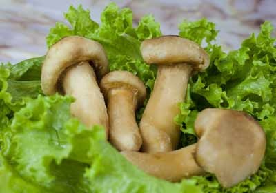 Trẻ đẹp nhờ món ăn từ nấm - 4 Trẻ đẹp nhờ món ăn từ nấm - 4