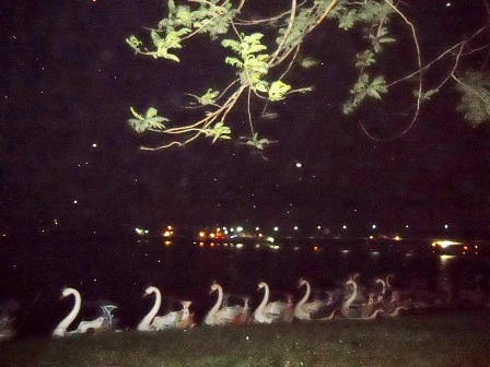 Đêm Huế vắng bóng người vì mưa dầm, giá rét bất thường - 8