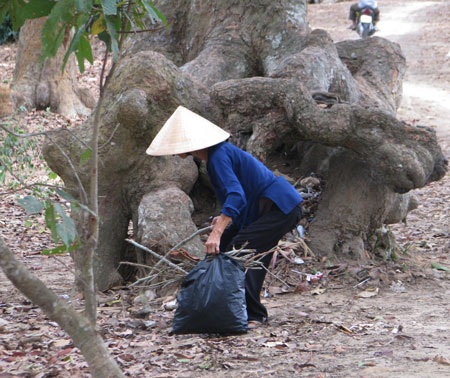 Mê đắm vẻ đẹp Ao Bà Om - 12 Mê đắm vẻ đẹp Ao Bà Om - 12