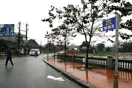 Nghêu ngao hát trên đường Trịnh Công Sơn  - 1