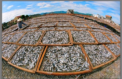 Lung linh “Gặp gỡ tháng 3” - 4