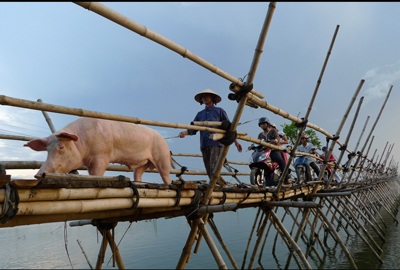 Lung linh “Gặp gỡ tháng 3” - 5