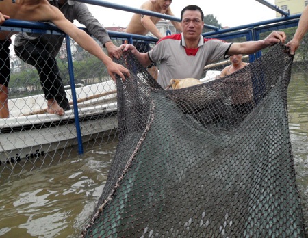 Cận cảnh diễn tập "đưa cụ Rùa vào lồng" - 12