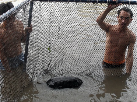 Cận cảnh diễn tập "đưa cụ Rùa vào lồng" - 16