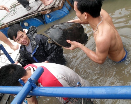 Cận cảnh diễn tập "đưa cụ Rùa vào lồng" - 18