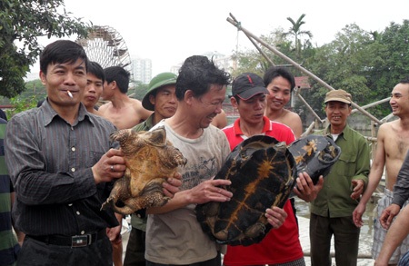 Cận cảnh diễn tập "đưa cụ Rùa vào lồng" - 19