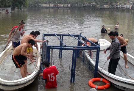 Cận cảnh diễn tập "đưa cụ Rùa vào lồng" - 2
