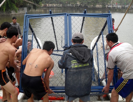 Cận cảnh diễn tập "đưa cụ Rùa vào lồng" - 20