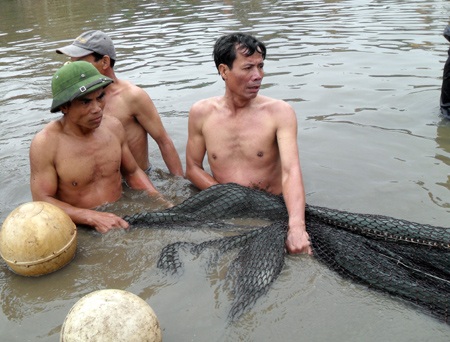 Cận cảnh diễn tập "đưa cụ Rùa vào lồng" - 4