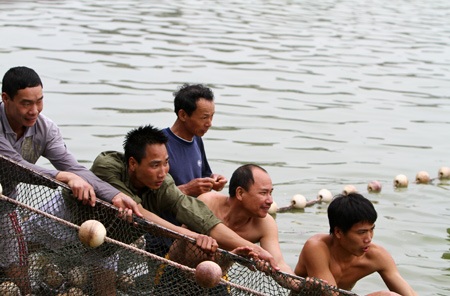 Cụ Rùa đã được an toàn trong bể chữa bệnh - 21