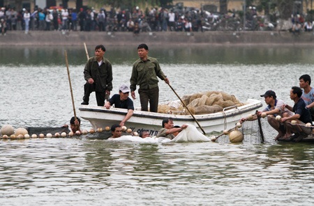 Cụ Rùa đã được an toàn trong bể chữa bệnh - 8