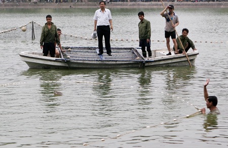 Cụ Rùa đã được an toàn trong bể chữa bệnh - 12