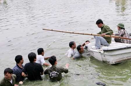 Cụ Rùa đã được an toàn trong bể chữa bệnh - 11