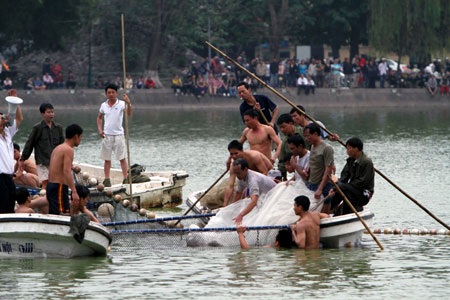 Cụ Rùa đã được an toàn trong bể chữa bệnh - 6