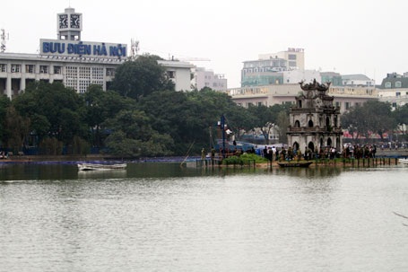 Cụ Rùa đã được an toàn trong bể chữa bệnh - 1