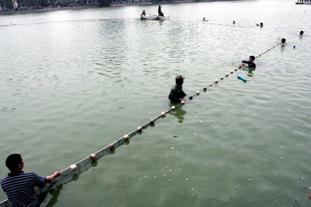 Cụ Rùa đã được an toàn trong bể chữa bệnh - 16