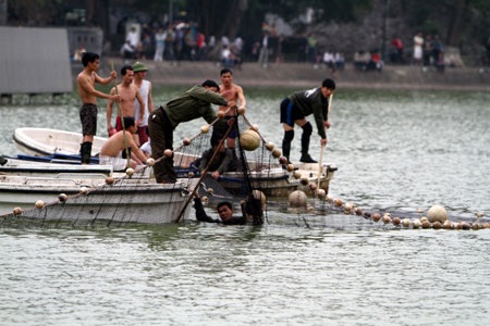 Cụ Rùa đã được an toàn trong bể chữa bệnh - 18