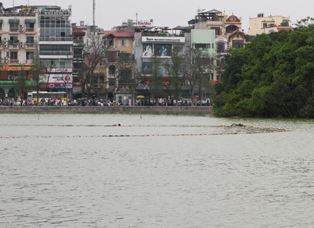 Cụ Rùa đã được an toàn trong bể chữa bệnh - 22