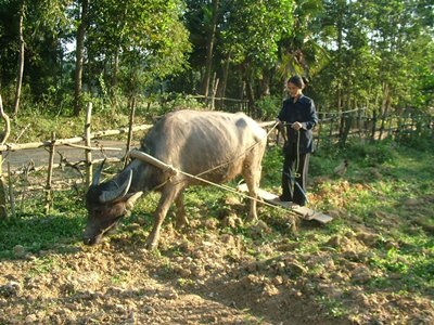 Quặn lòng rốn lũ Hương Khê mùa giáp hạt - 5 Quặn lòng rốn lũ Hương Khê mùa giáp hạt - 5