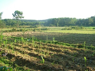 Quặn lòng rốn lũ Hương Khê mùa giáp hạt - 1 Quặn lòng rốn lũ Hương Khê mùa giáp hạt - 1