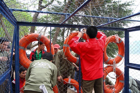 Cụ Rùa đã được an toàn trong bể chữa bệnh - 41