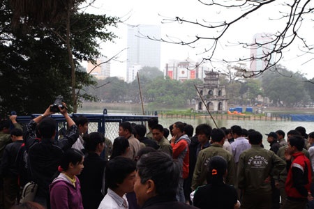 Cụ Rùa đã được an toàn trong bể chữa bệnh - 36