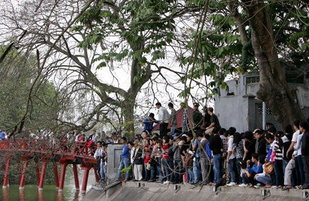 Cụ Rùa đã được an toàn trong bể chữa bệnh - 28