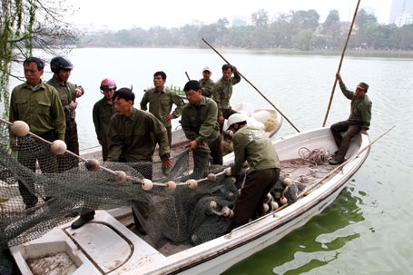 Cụ Rùa đã được an toàn trong bể chữa bệnh - 34