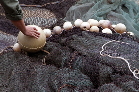 Cụ Rùa đã được an toàn trong bể chữa bệnh - 33