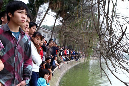 Cụ Rùa đã được an toàn trong bể chữa bệnh - 32