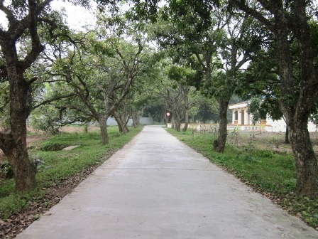 Chùm ảnh: Ấn tượng chùa Bà Đanh - 8 Chùm ảnh: Ấn tượng chùa Bà Đanh - 8
