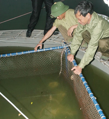 Sức khỏe cụ Rùa có nhiều chuyển biến tích cực - 1 Sức khỏe cụ Rùa có nhiều chuyển biến tích cực - 1