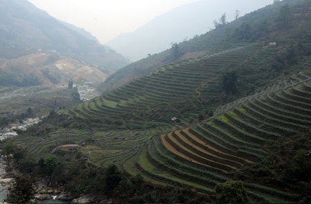 Những công trình thủy điện “đe dọa” vẻ đẹp Sa Pa - 4