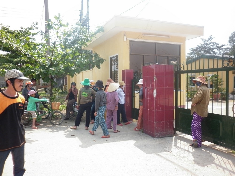 “Khủng hoảng” ruồi, dân vứt ruồi chết vào công ty phân vi sinh - 1