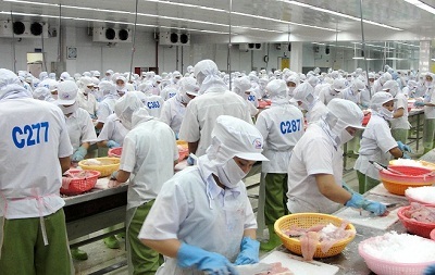 DOCIMEXCO – Tiên phong trong lĩnh vực nông nghiệp - 1