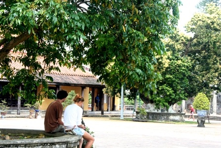 Những cây nhãn cổ thụ trong Kinh thành Huế nở hoa vàng rực rỡ - 20