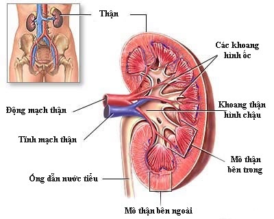 Biến chứng nguy hiểm của bệnh tiểu đường - 2