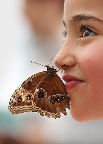 Nụ hôn của bướm - 2