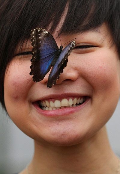 Nụ hôn của bướm - 8