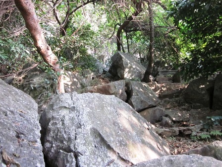 Ngắm cảnh đẹp như “chốn bồng lai tiên cảnh” - 7