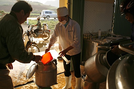 “Sản vật” của xứ mù sương - 4 “Sản vật” của xứ mù sương - 4