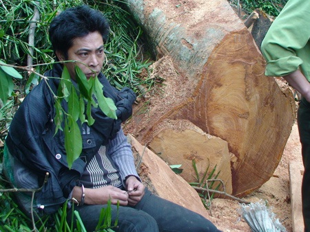 Bắt “tại trận” nhóm lâm tặc khai thác gỗ lậu - 1 Bắt “tại trận” nhóm lâm tặc khai thác gỗ lậu - 1