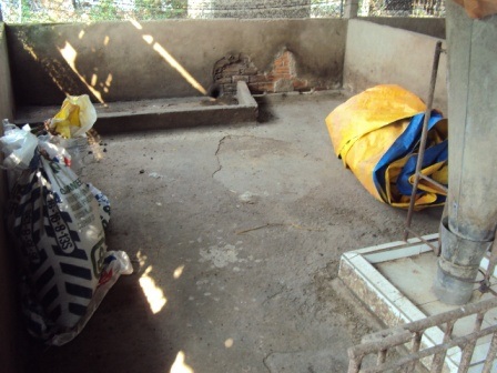 Giá cả, dịch bệnh leo thang, người chăn nuôi heo muốn bỏ nghề - 1