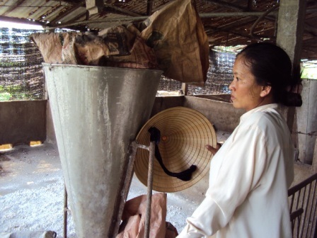 Giá cả, dịch bệnh leo thang, người chăn nuôi heo muốn bỏ nghề - 2