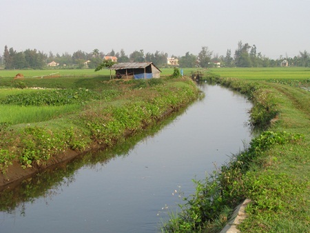 Chùm ảnh: Tinh khôi cánh mỏng xuyến chi - 9