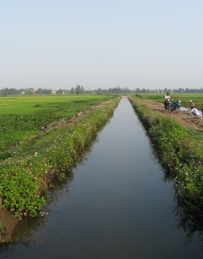 Chùm ảnh: Tinh khôi cánh mỏng xuyến chi - 8